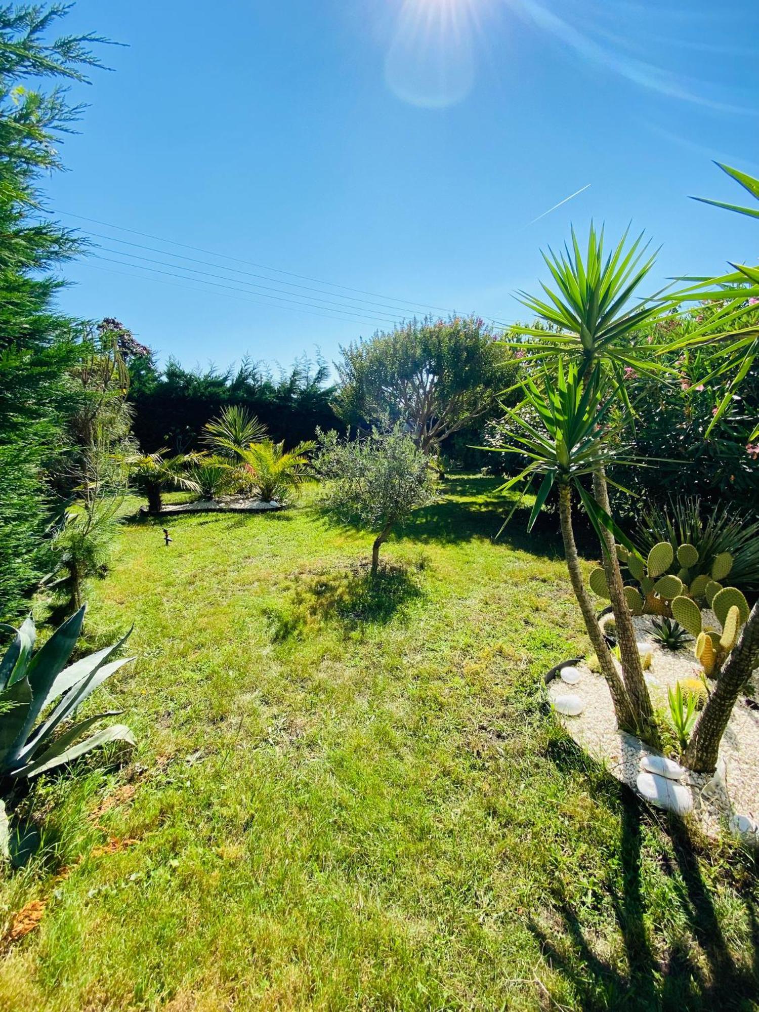 Evasion Tropicale - D'artiste Avec Jacuzzi Prive Dans Un Jardin Exotique