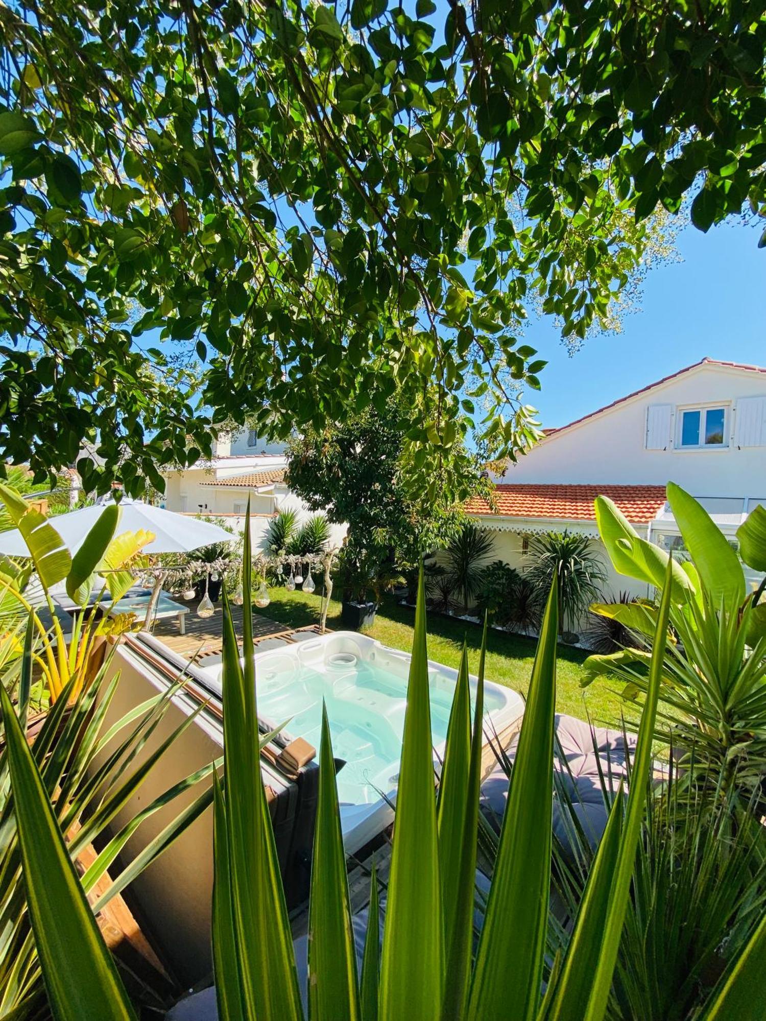 Evasion Tropicale - D'artiste Avec Jacuzzi Prive Dans Un Jardin Exotique Habitación en casa particular