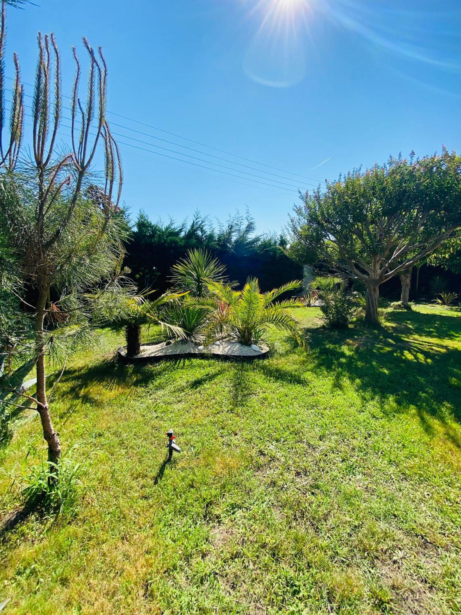 Evasion Tropicale - D'artiste Avec Jacuzzi Prive Dans Un Jardin Exotique *